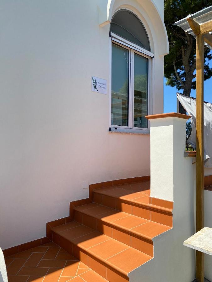 Vila Casaale Anacapri  Exteriér fotografie